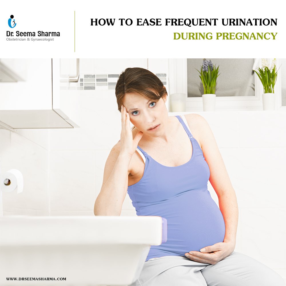 Frequent Urination During Pregnancy